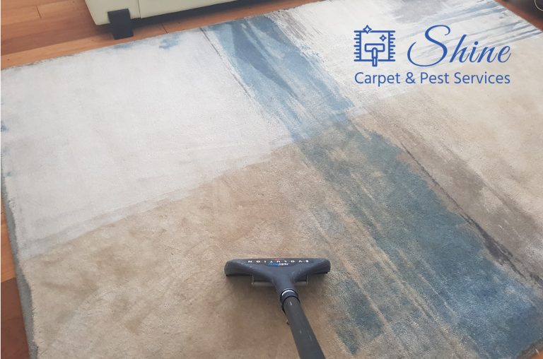 brisbane rug cleaning