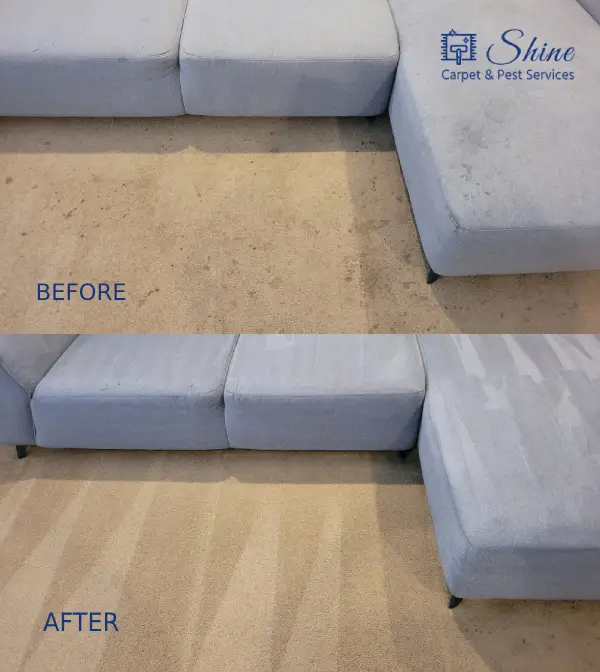 Project- carpet cleaning 2 landscape-1