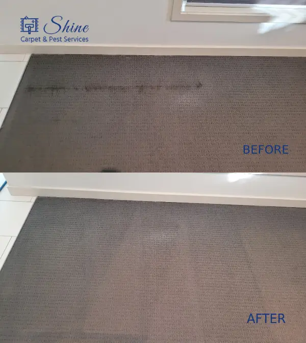 Project- carpet cleaning 2 landscape-3
