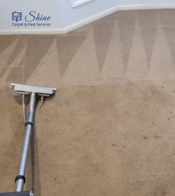 Project- carpet cleaning 2 landscape-6