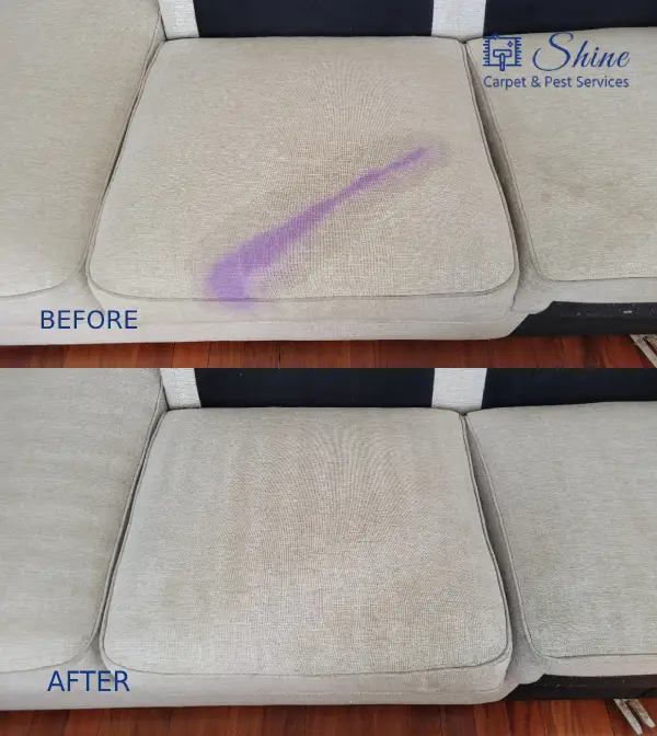 Project- couch cleaning 2 landscape-1