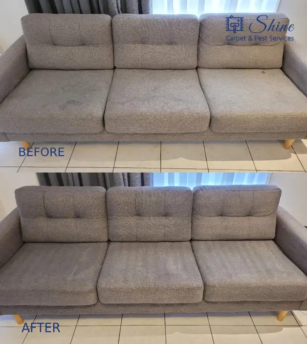 Project- couch cleaning 2 landscape-2