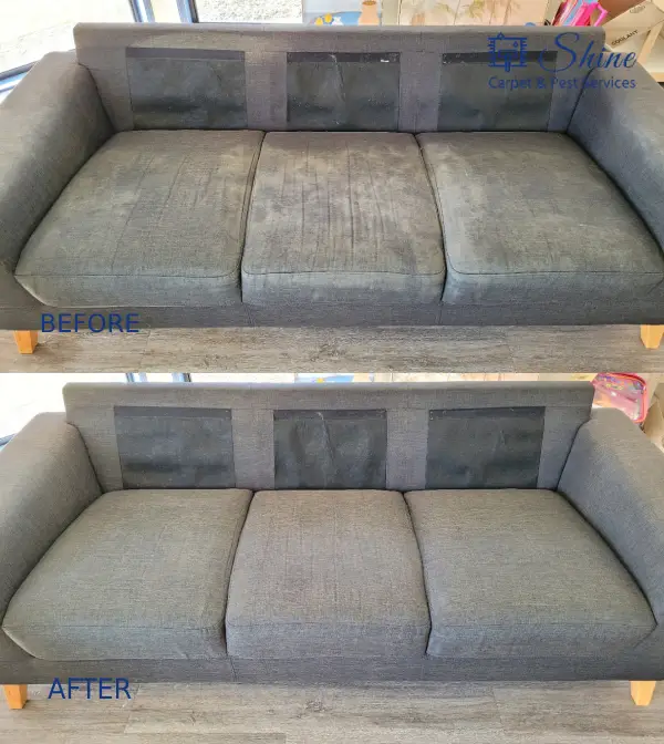 Project- couch cleaning 2 landscape-3