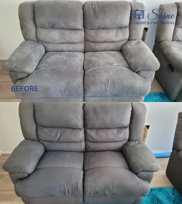 Project- couch cleaning 2 landscape-4