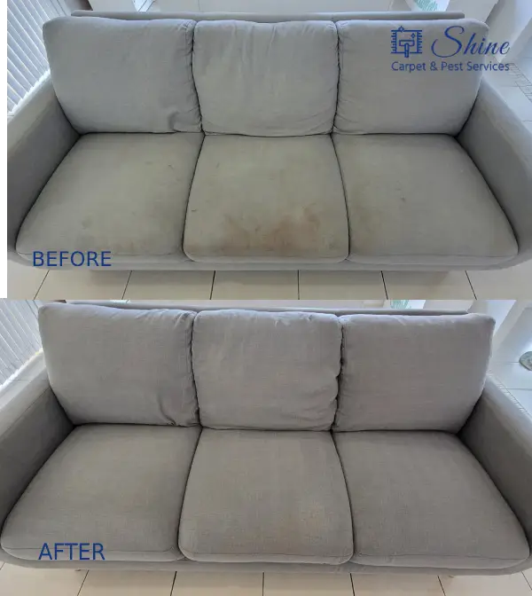 Project- couch cleaning 2 landscape-5