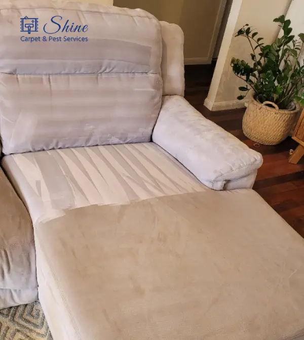 Project- couch cleaning 2 landscape-6