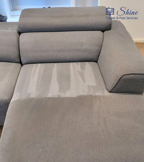Project- couch cleaning 2 landscape-7