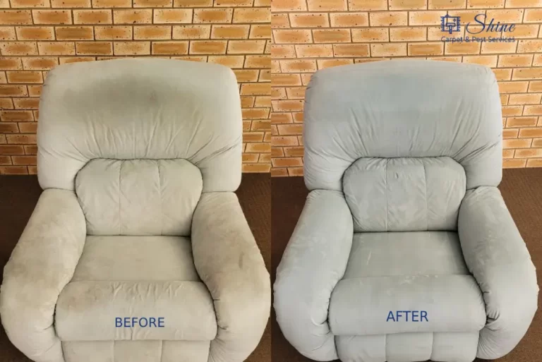 Project- couch cleaning 2 portraits-11